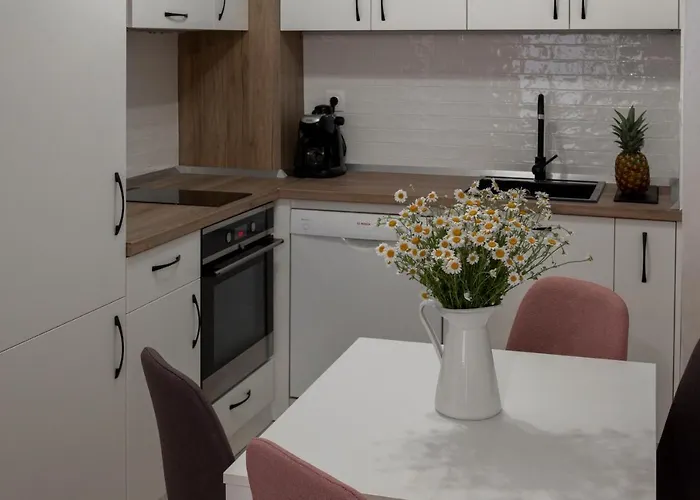 Sos Comfort * Burgas Stad